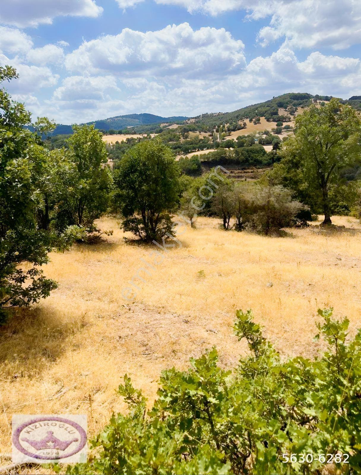 Havran Küçükşapçıda Müstakil Tapulu Yol Cepheli 10.592m2 Arazi - Görsel 3