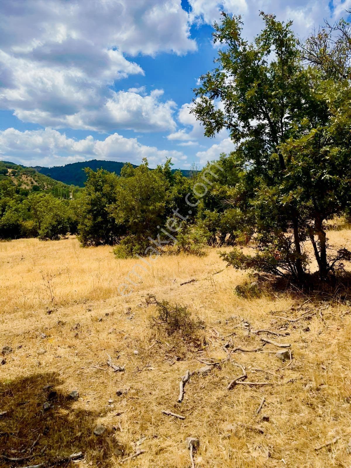 Havran Küçükşapçıda Müstakil Tapulu Yol Cepheli 10.592m2 Arazi - Görsel 11