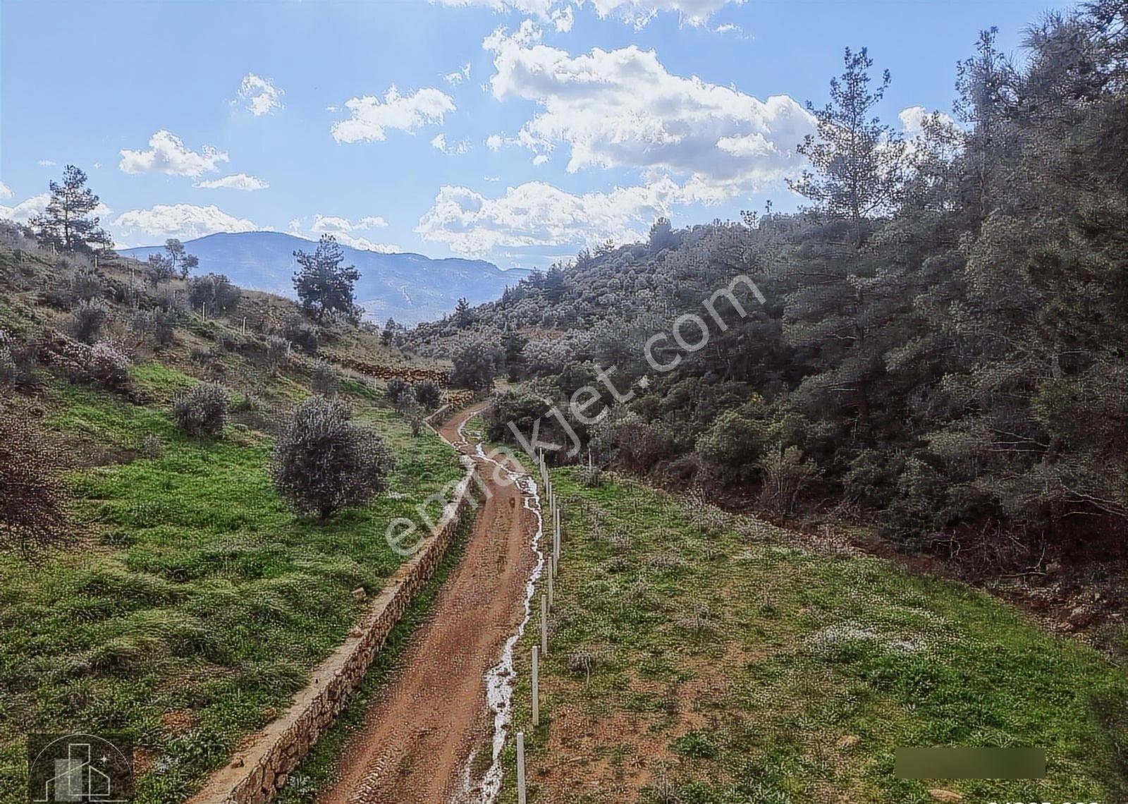 Seferihisar Orhanlıda Yola Cephe 12.850 M² Elektrik Su Hazır - Görsel 21
