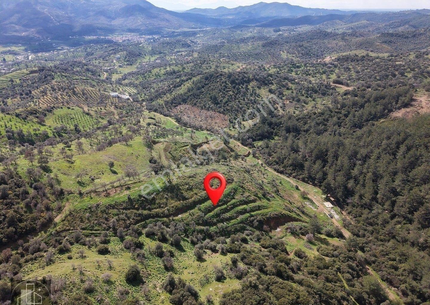 Seferihisar Orhanlıda Yola Cephe 12.850 M² Elektrik Su Hazır - Görsel 5