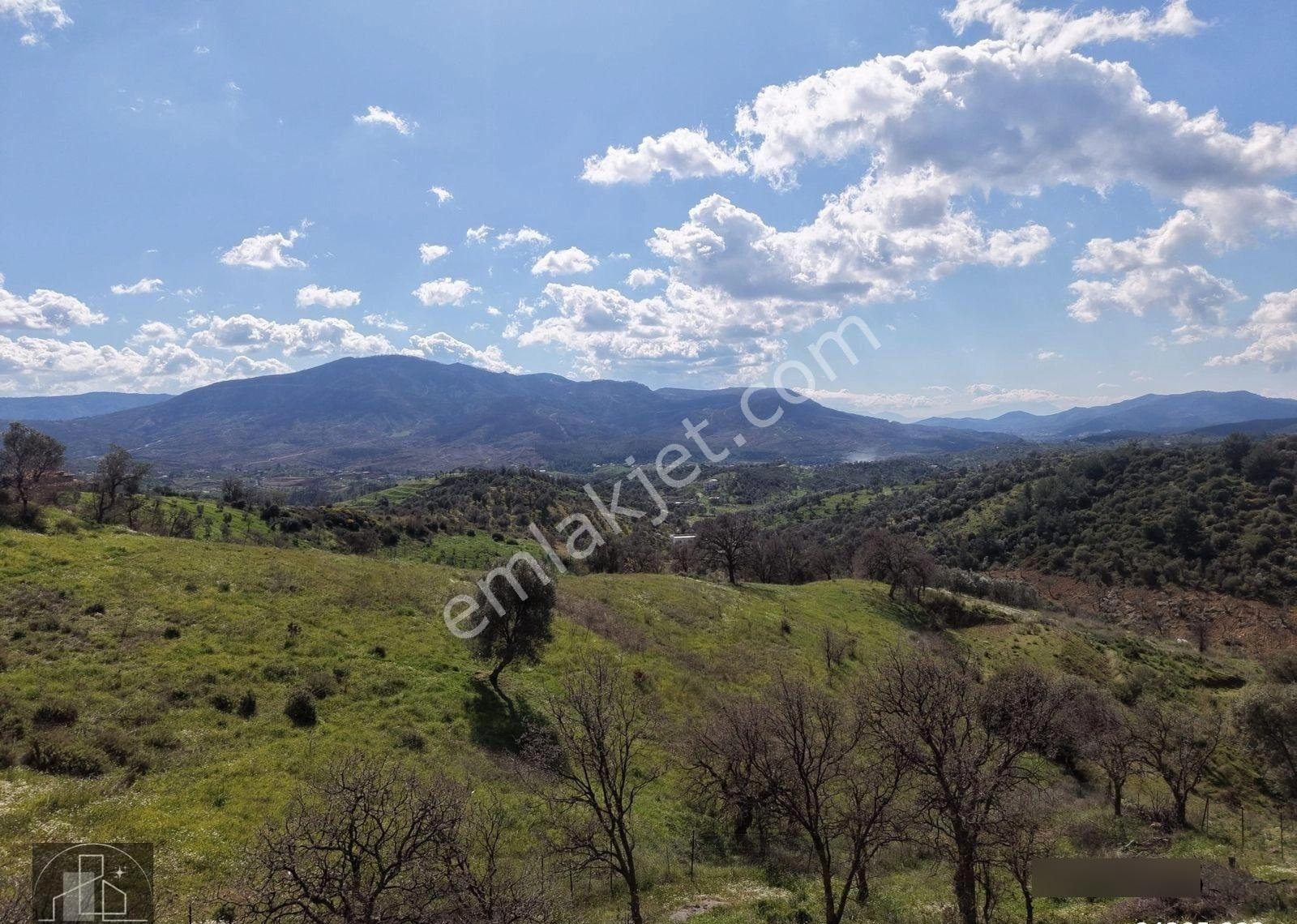 Seferihisar Orhanlıda Yola Cephe 12.850 M² Elektrik Su Hazır - Görsel 12