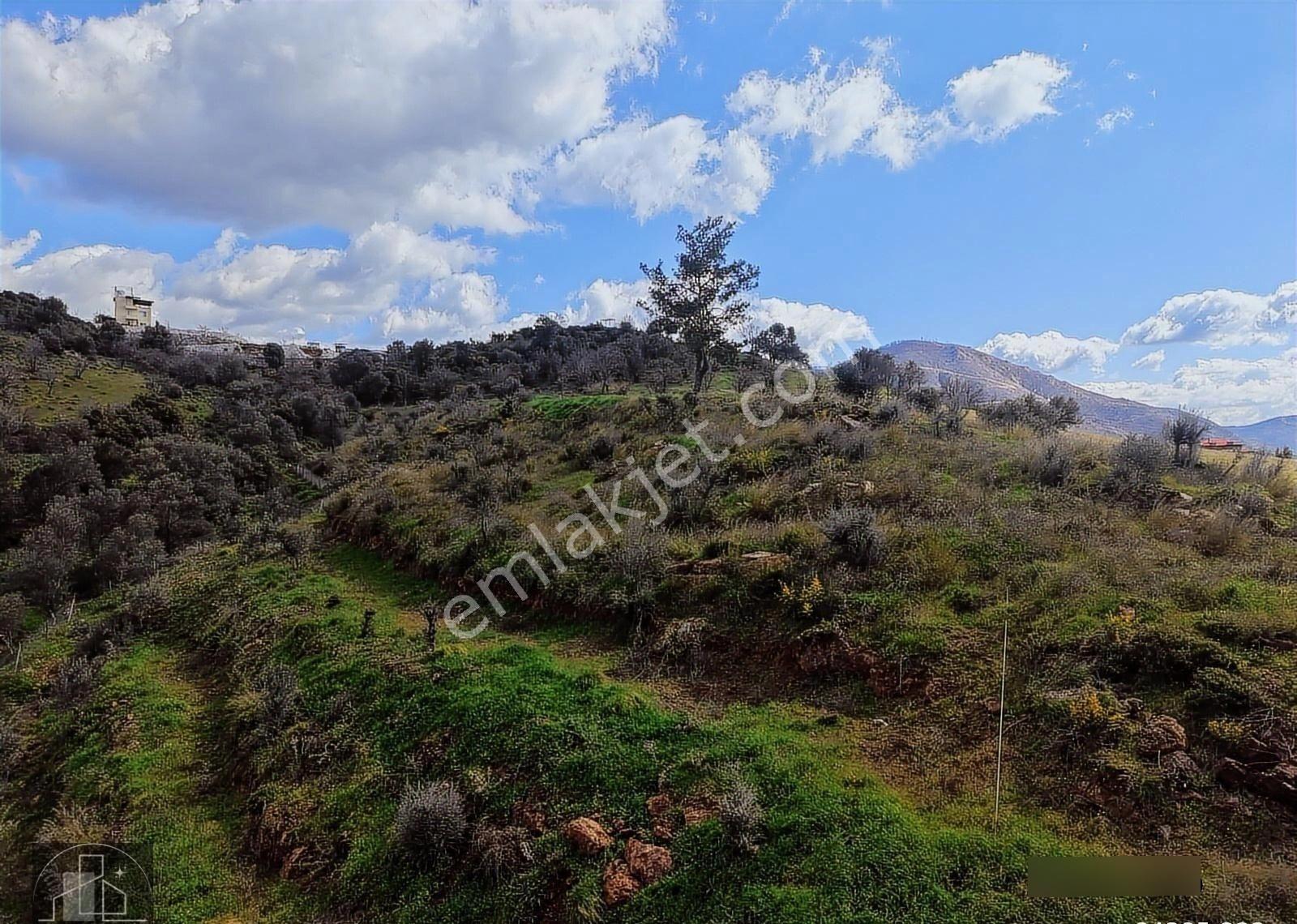 Seferihisar Orhanlıda Yola Cephe 12.850 M² Elektrik Su Hazır - Görsel 7