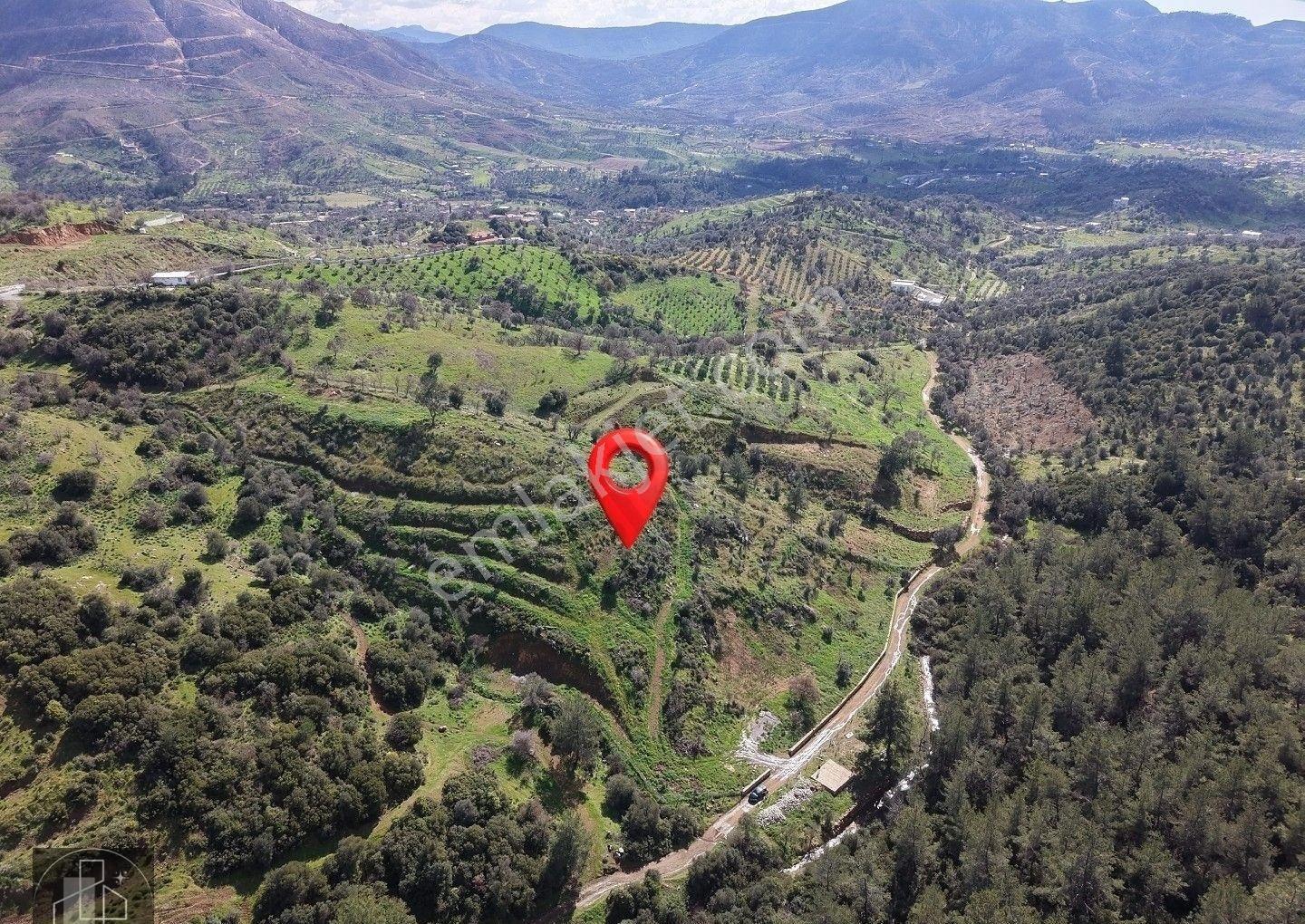 Seferihisar Orhanlıda Yola Cephe 12.850 M² Elektrik Su Hazır - Görsel 14