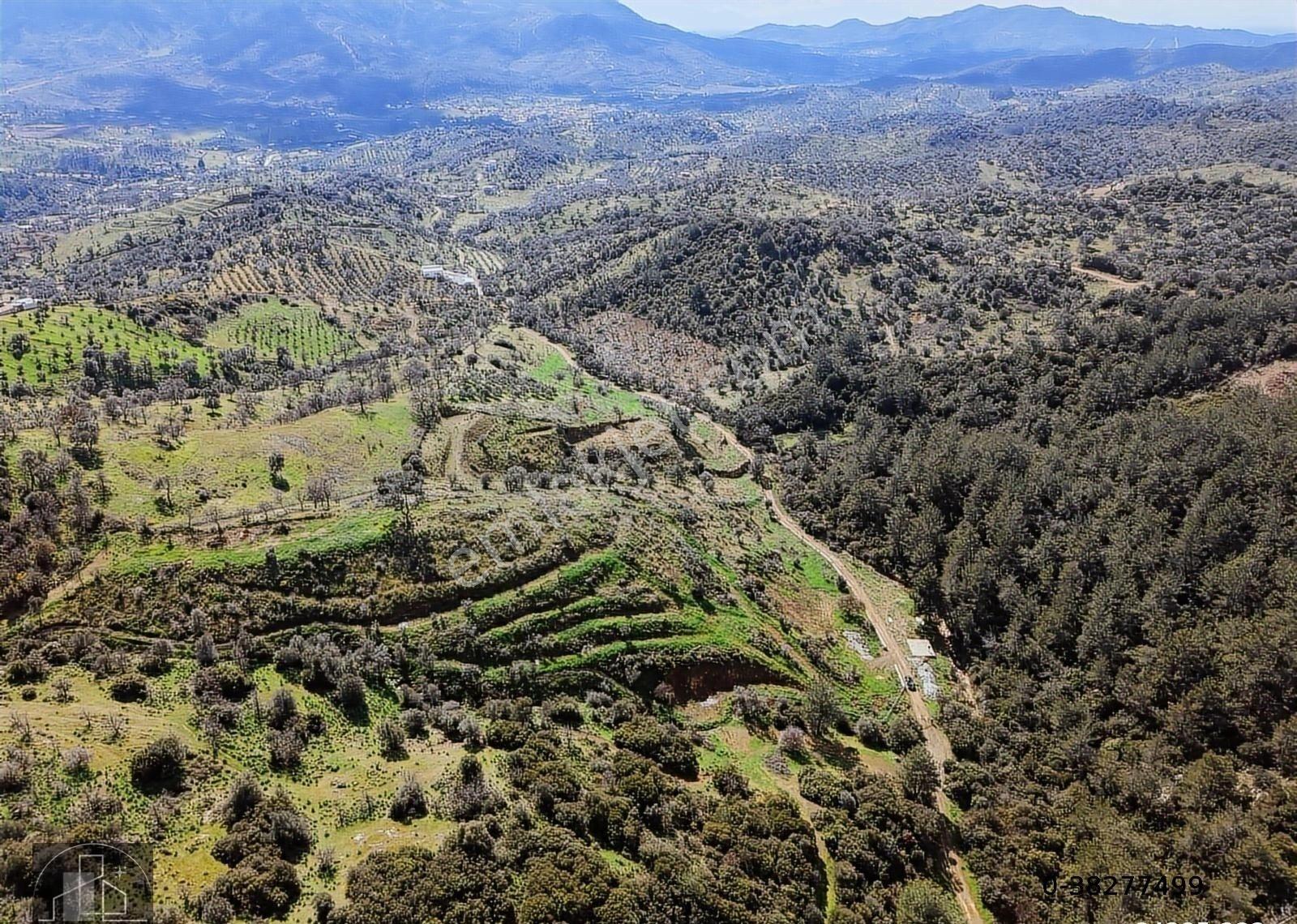 Seferihisar Orhanlıda Yola Cephe 12.850 M² Elektrik Su Hazır - Görsel 22