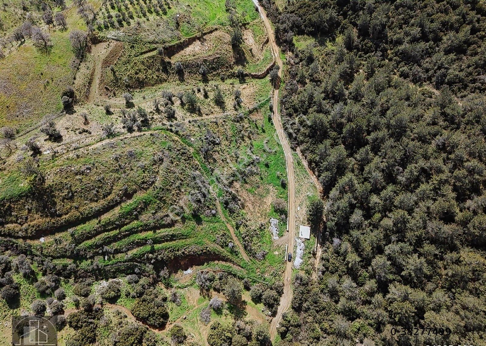 Seferihisar Orhanlıda Yola Cephe 12.850 M² Elektrik Su Hazır - Görsel 13