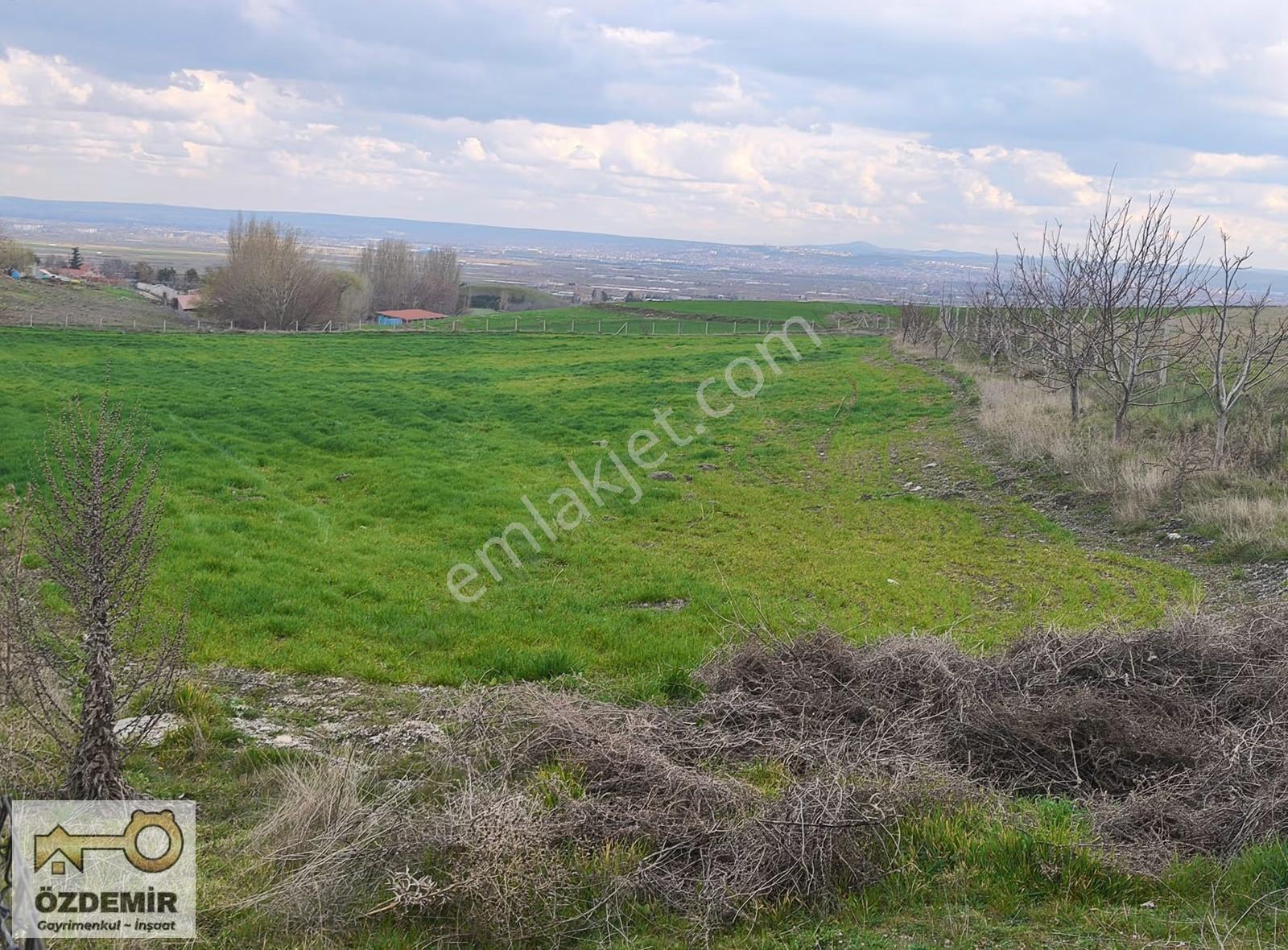Özdemir'den Kozkayı Mah.satılık 4616 Mt. Yatırımlık Tarla - Görsel 8