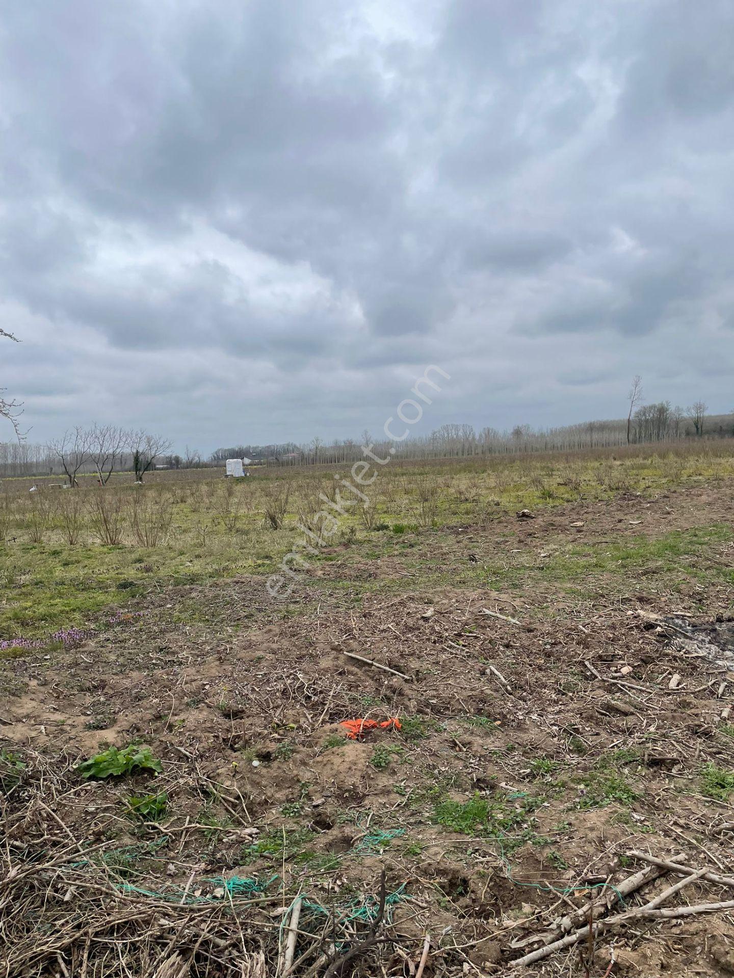 Akgün Kurumsal'dan Saray Çukuryurt Köyünde Satılık 2300 M2 Tarla