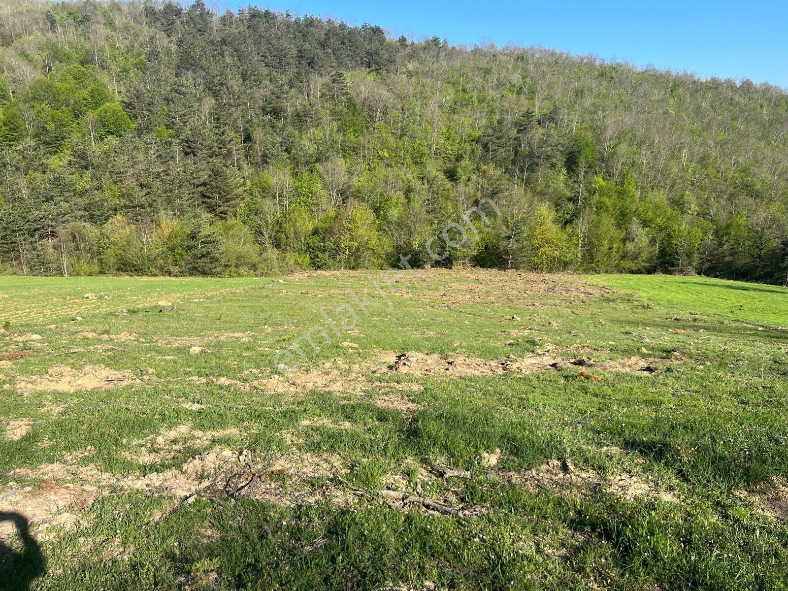 Sandı Emlak Tan Satılık Kavak Çakallı Mevkiinde 2.953m2 Müstakil Tapulu Doğa İçinde Tarlamız - Görsel 4