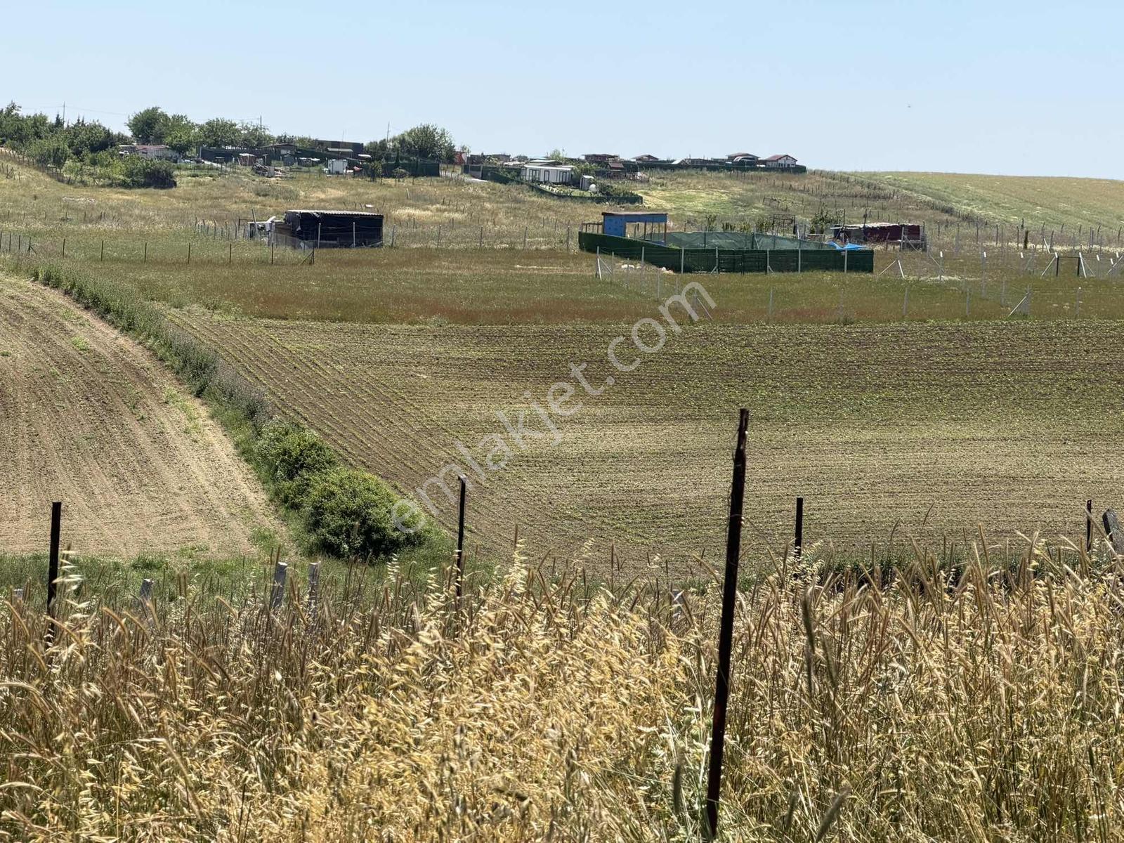 Arnavutköy Çilingir Mah Satılık Arsa 242 M2 Z+3 Kat İmarlı - Görsel 8