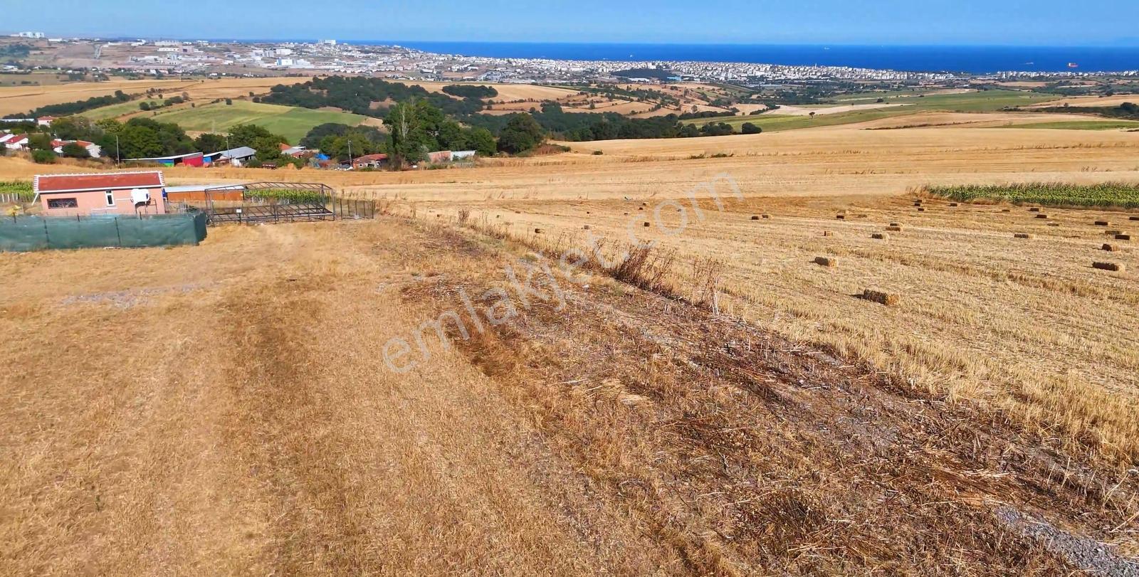 Tekirdağ Yağcı Mahallesinde 400m² Parsel - Görsel 2