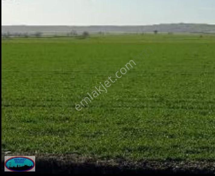 Kırklareli Lüleburgaz Büyükkarıştıran'da 14.876m2 Satılık Arazi - Görsel 7