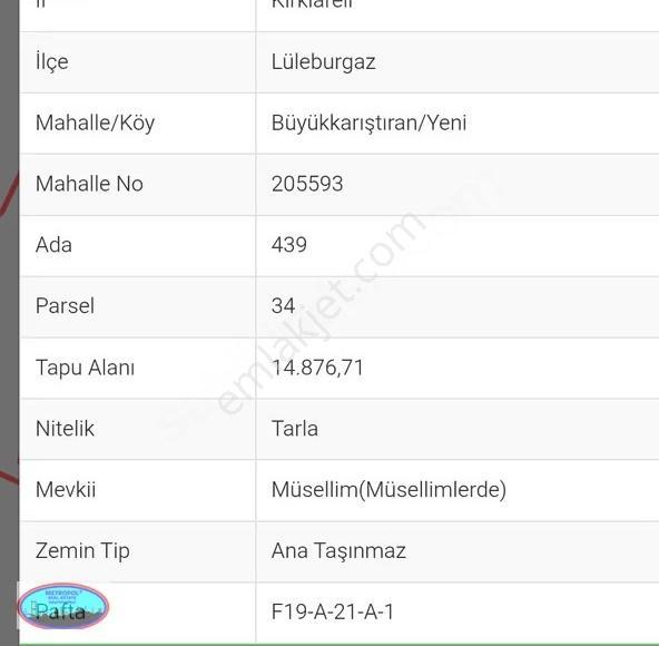 Kırklareli Lüleburgaz Büyükkarıştıran'da 14.876m2 Satılık Arazi - Görsel 3