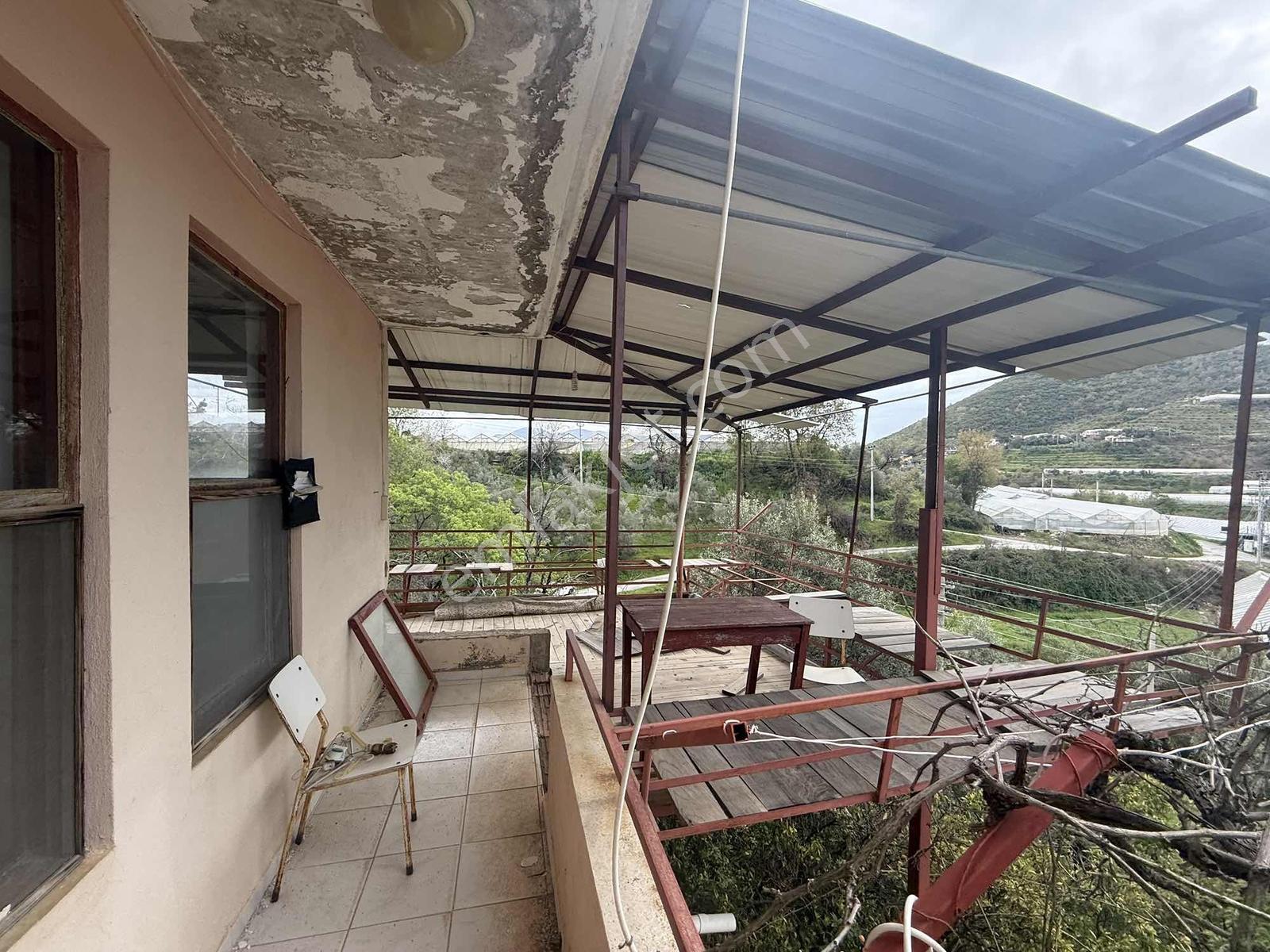 Alanya Toslakta 2.katlı Müstakilev + 4.758m² Meyveli Arazi - Görsel 28
