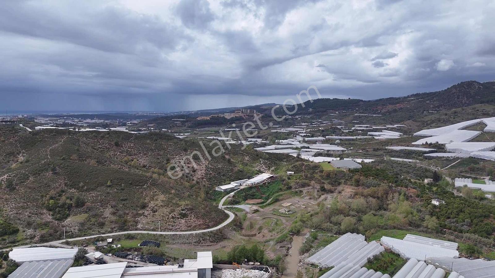 Alanya Toslakta 2.katlı Müstakilev + 4.758m² Meyveli Arazi - Görsel 8