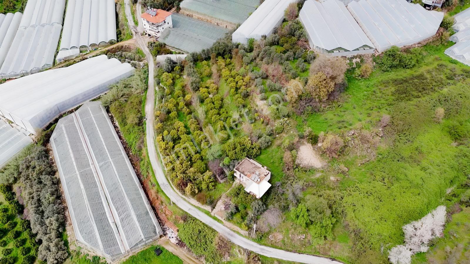 Alanya Toslakta 2.katlı Müstakilev + 4.758m² Meyveli Arazi - Görsel 3