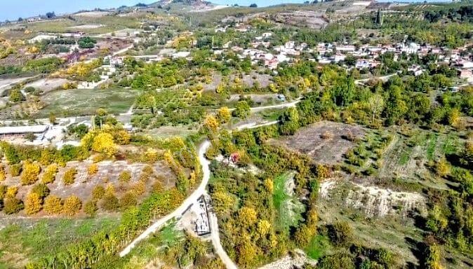 Köy Genişleme Sınırında- Fırsat 17 Dönüm Ceviz Bahçesi - Görsel 3