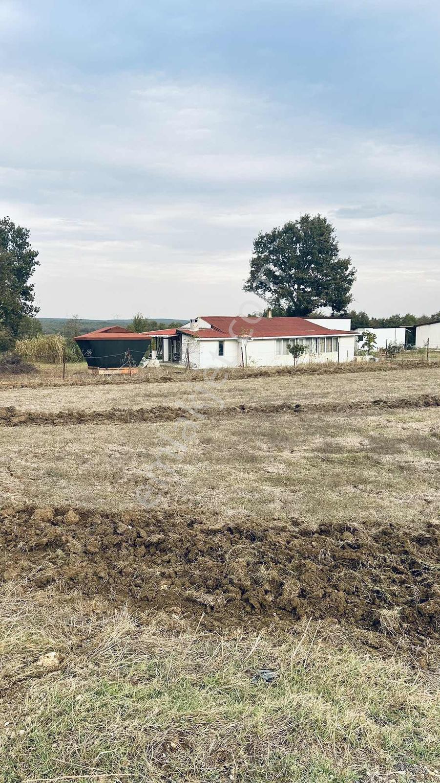 Köyün İçinde Elektirik, Su, Doğalgaz Mevcut - Görsel 12