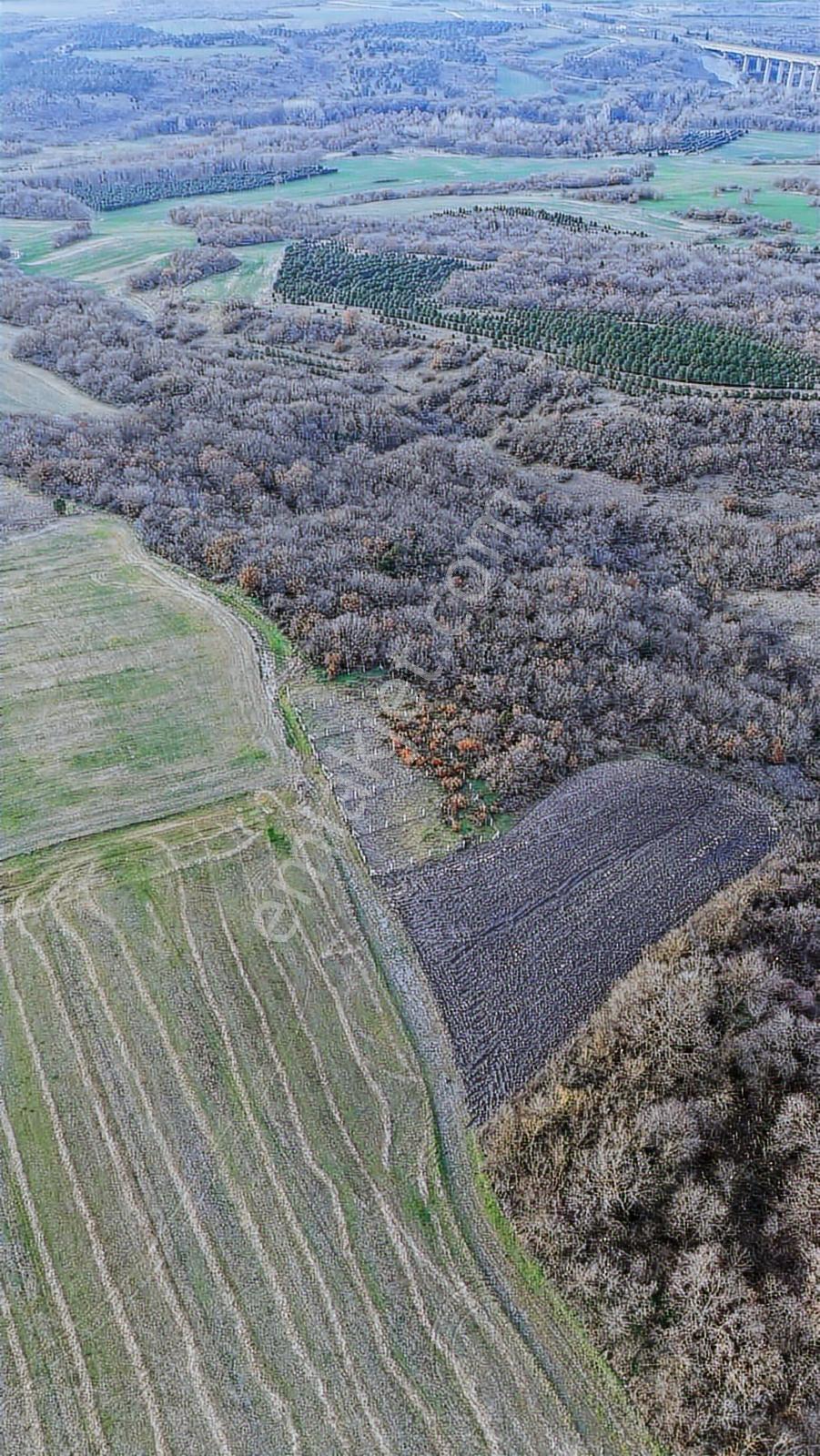 Silivri Balaban'da İmar Planında 216 M2 Arsa - Görsel 3