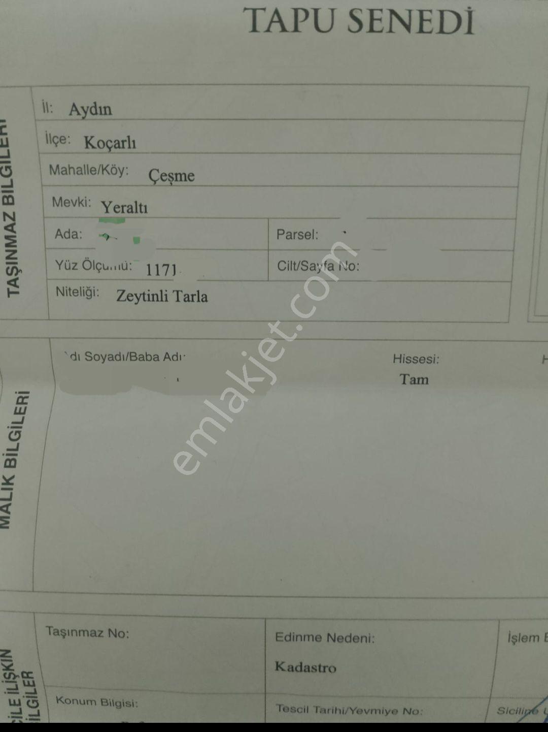 Aydın Koçarlı Çeşme Mahallesinde Satılık Tarla 11 .5 Dönüm - Görsel 2