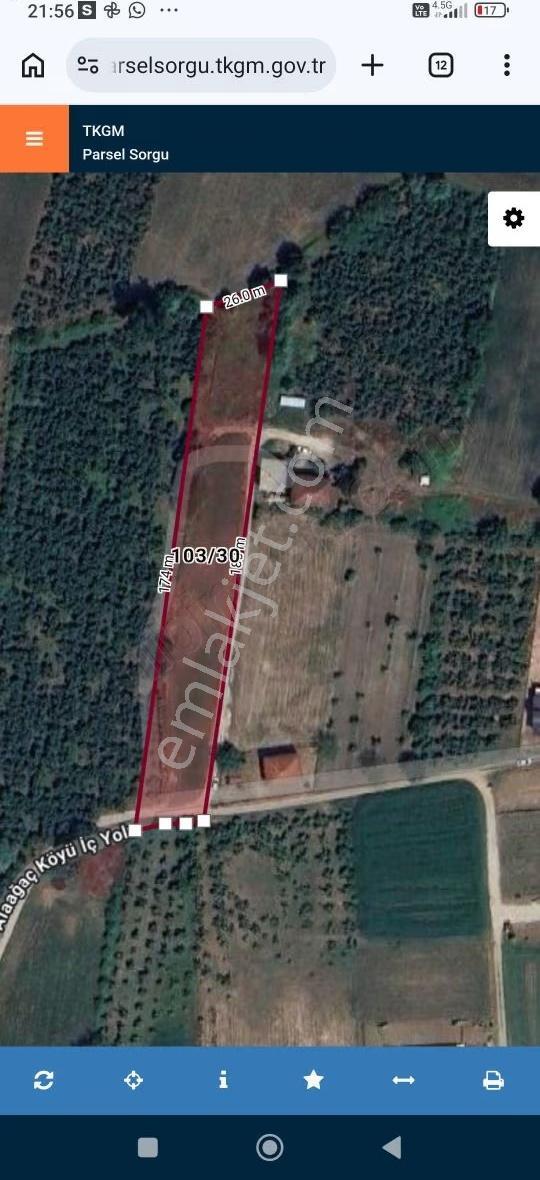 Nur Emlaktan Alağaç Mh. 3.891 M2 İmar Sınırında - Görsel 2