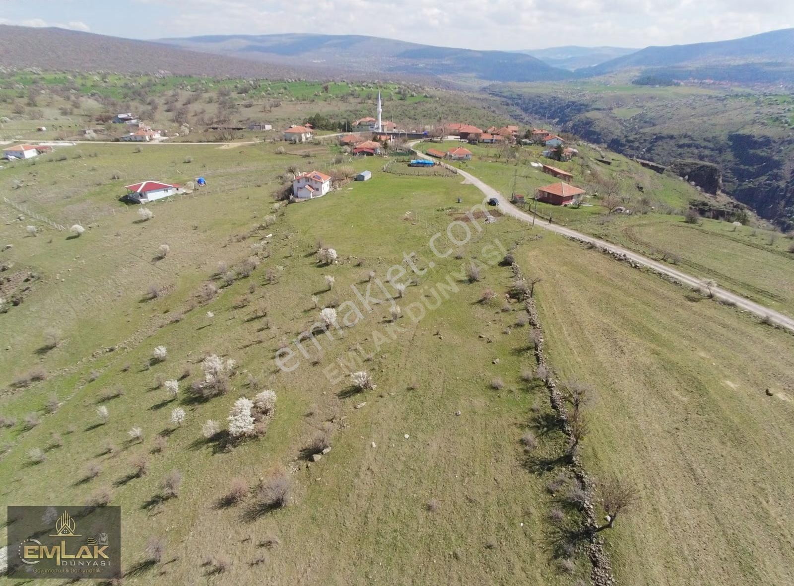 Ayaşta Tek Tapu Köy İçi 2.262 M2 Manzaralı Tarla - Görsel 4