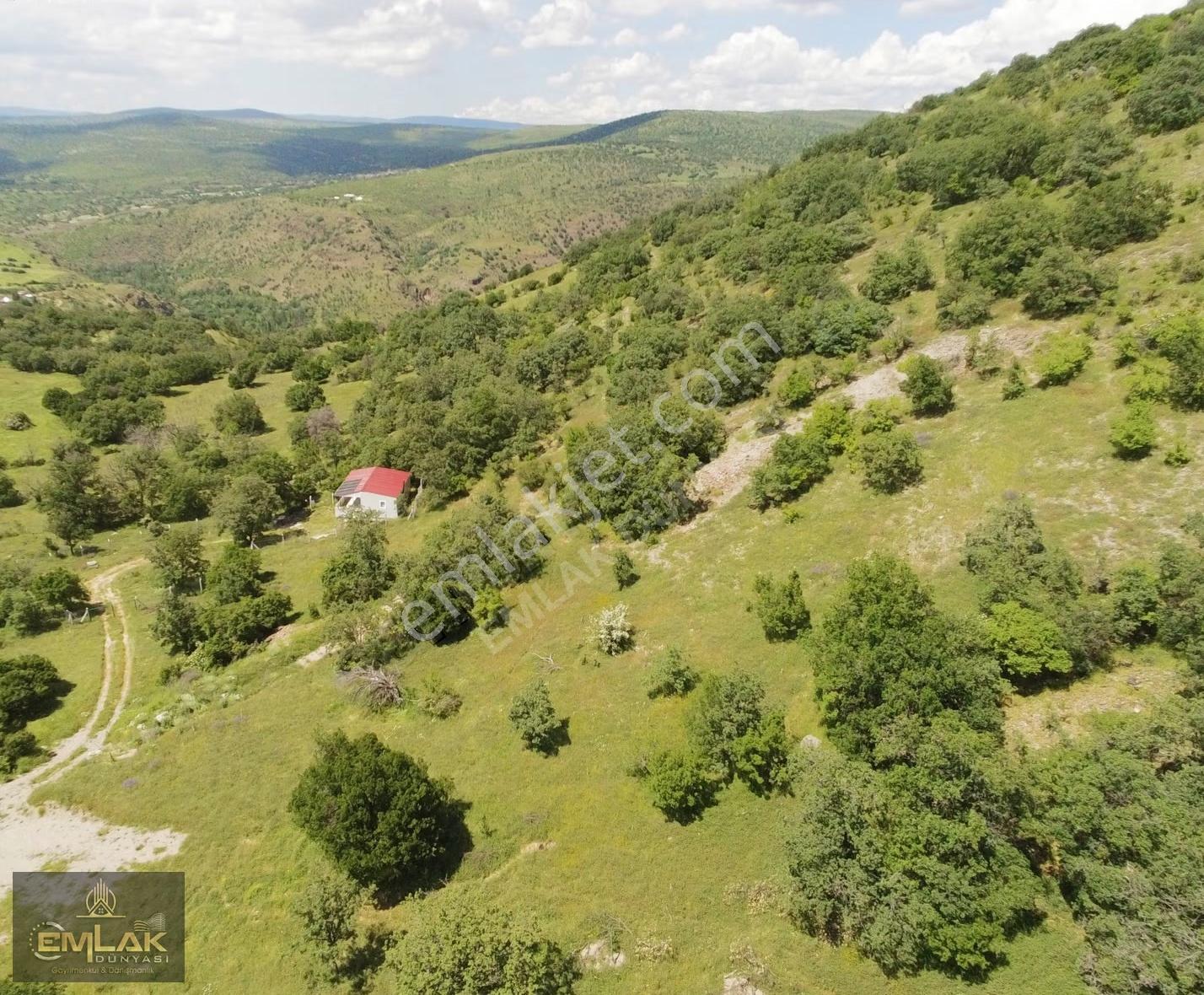Ayaş Yağmurdede Mah.de Tek Tapu 1.499 M2 Bağ Yeri - Görsel 3