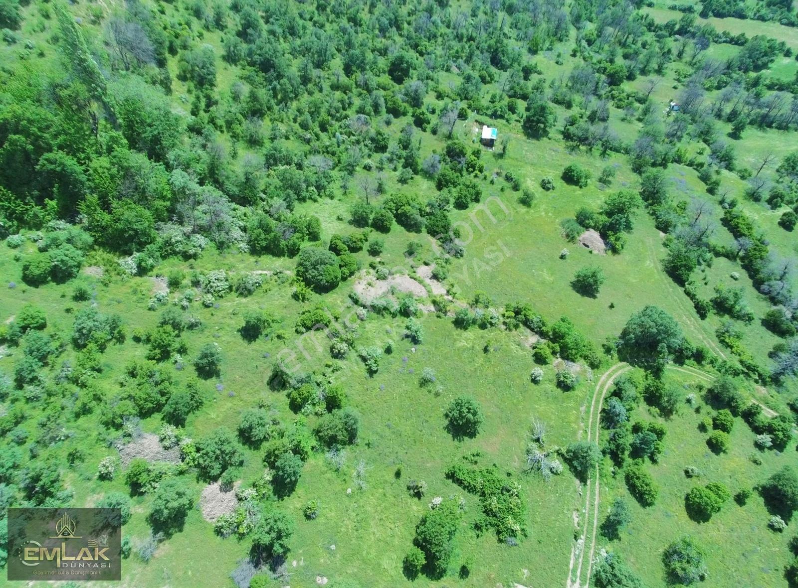 Ayaş Yağmurdede Mah.de Tek Tapu 1.499 M2 Bağ Yeri - Görsel 12