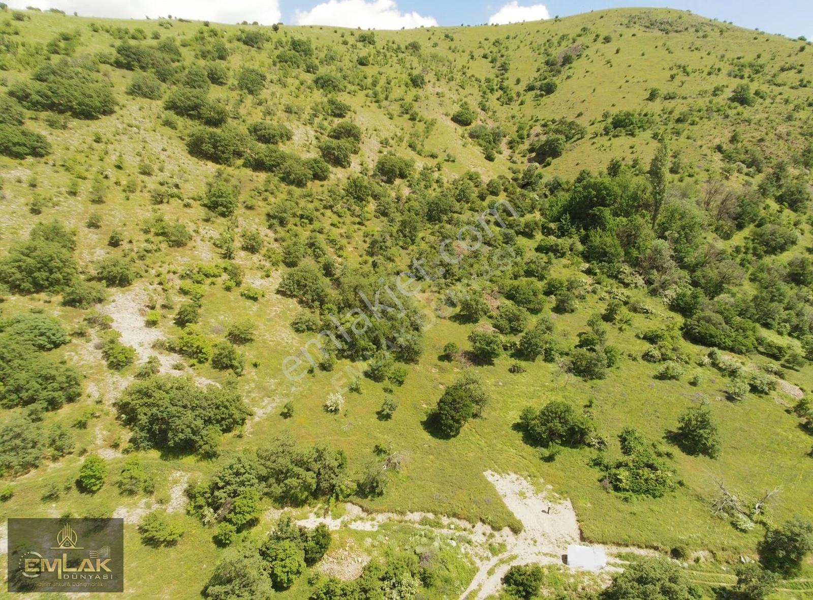 Ayaş Yağmurdede Mah.de Tek Tapu 1.499 M2 Bağ Yeri - Görsel 6