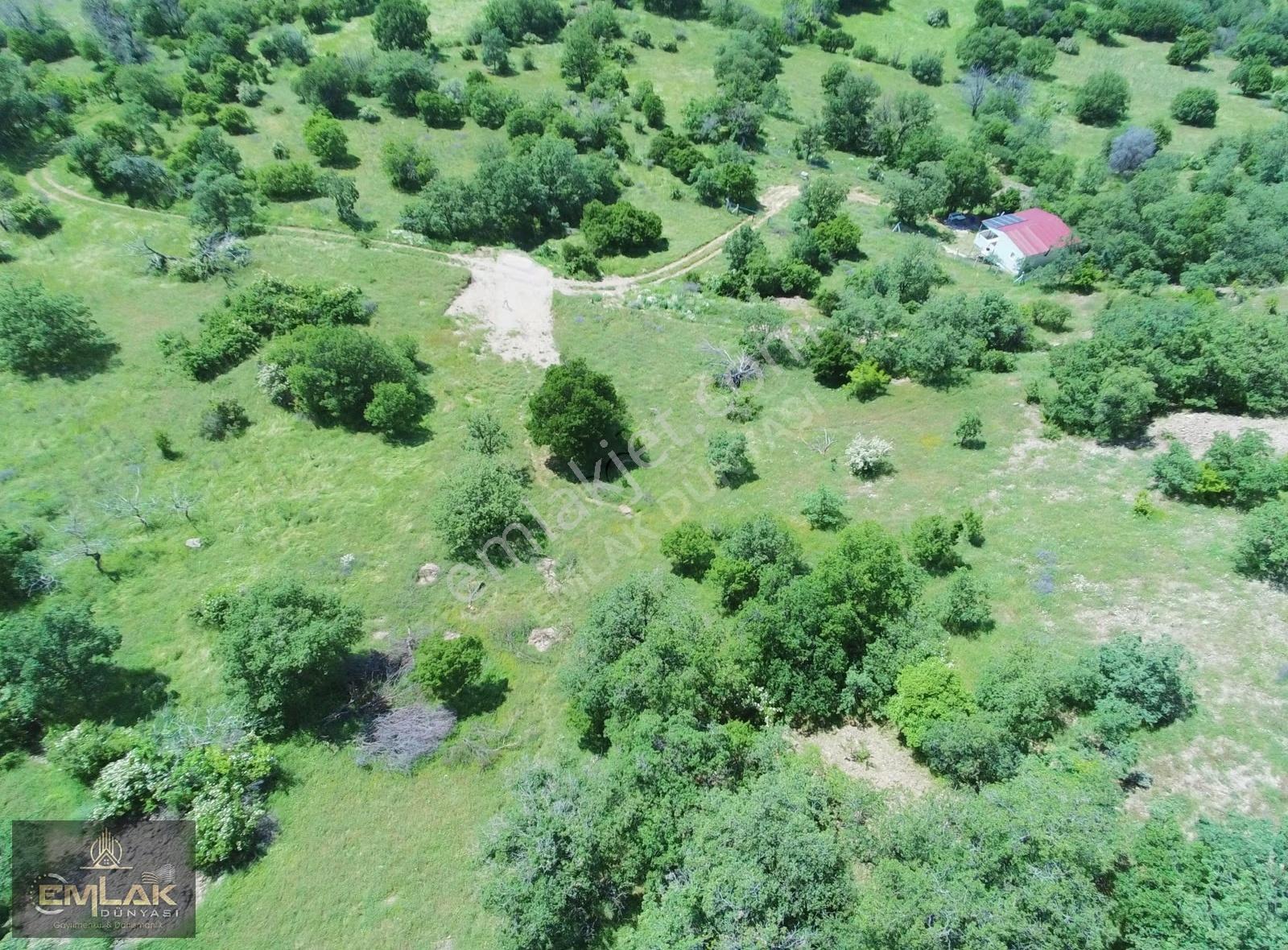Ayaş Yağmurdede Mah.de Tek Tapu 1.499 M2 Bağ Yeri - Görsel 7