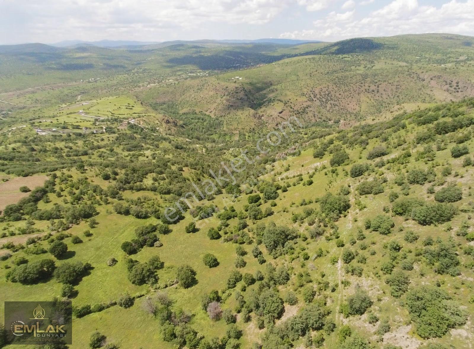 Ayaş Yağmurdede Mah.de Tek Tapu 1.499 M2 Bağ Yeri - Görsel 4