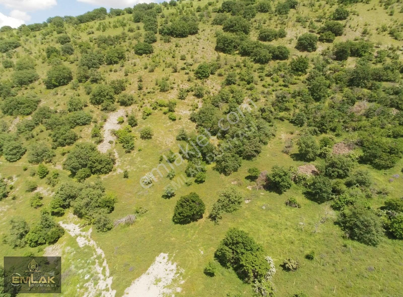 Ayaş Yağmurdede Mah.de Tek Tapu 1.499 M2 Bağ Yeri