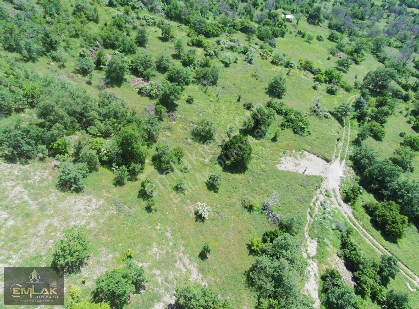 Ayaş Yağmurdede Mah.de Tek Tapu 1.499 M2 Bağ Yeri - Görsel 2
