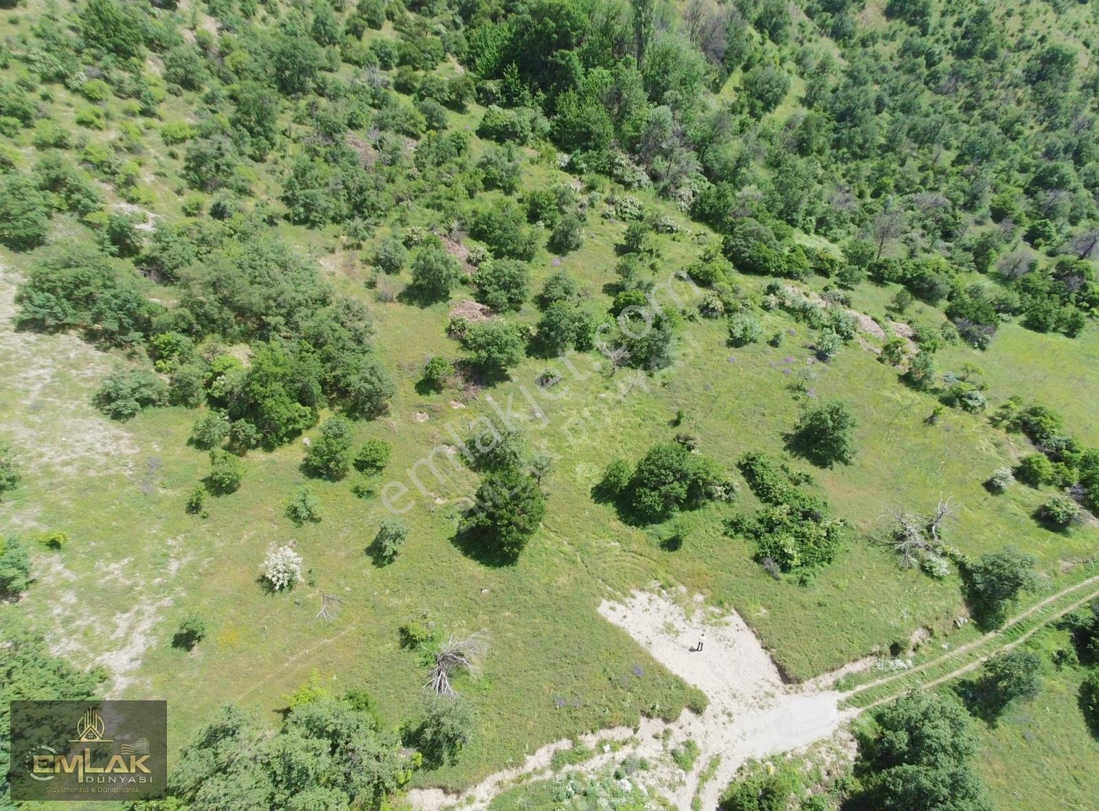 Ayaş Yağmurdede Mah.de Tek Tapu 1.499 M2 Bağ Yeri - Görsel 5