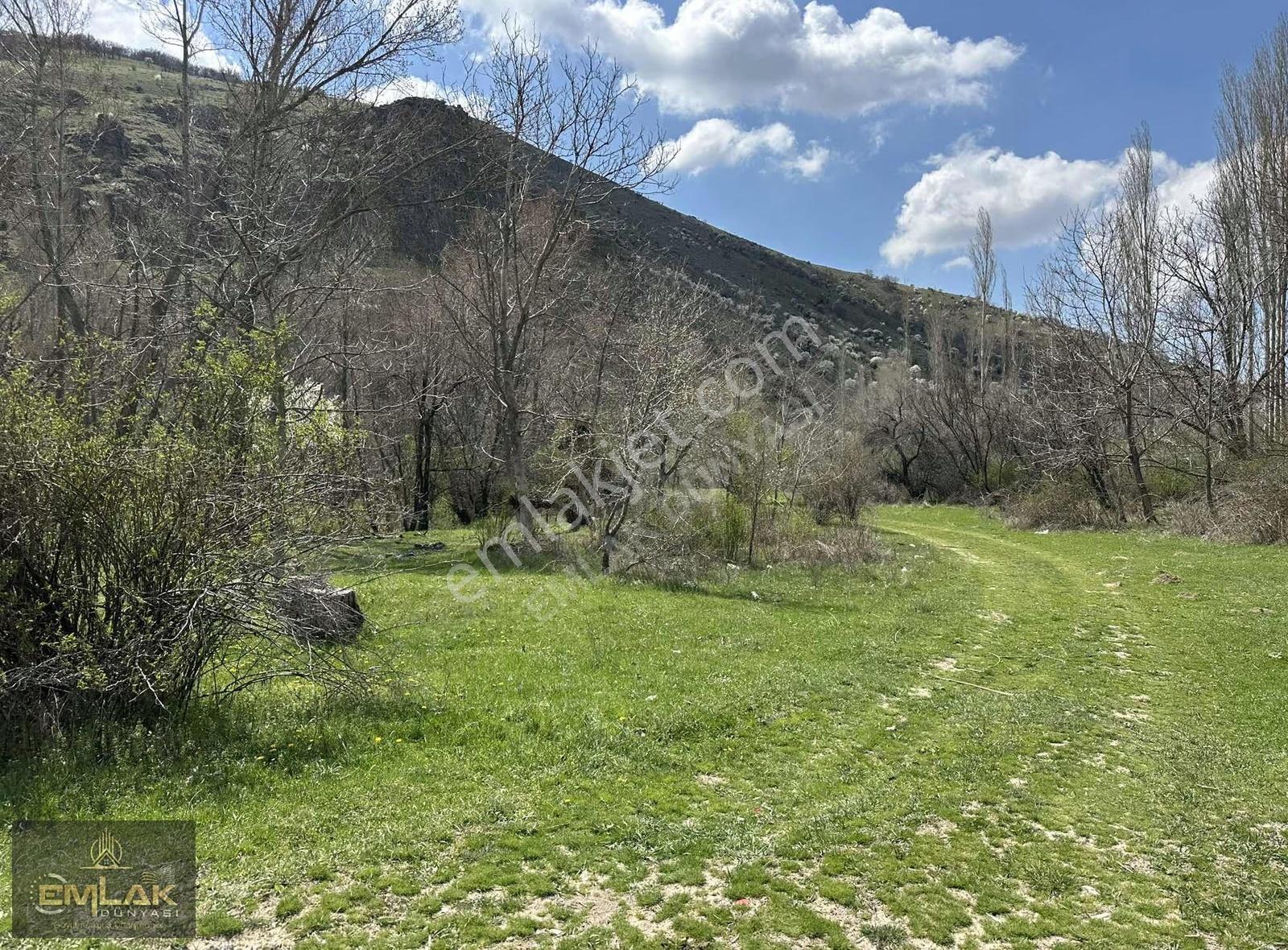 Çanıllı Barajı Altında Tek Tapu 521 M2 Sulu Tarla - Görsel 6