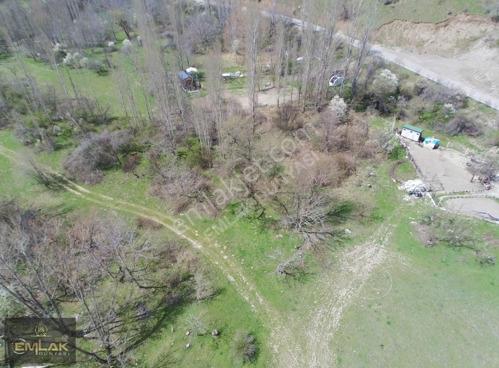 Çanıllı Barajı Altında Tek Tapu 521 M2 Sulu Tarla - Görsel 12