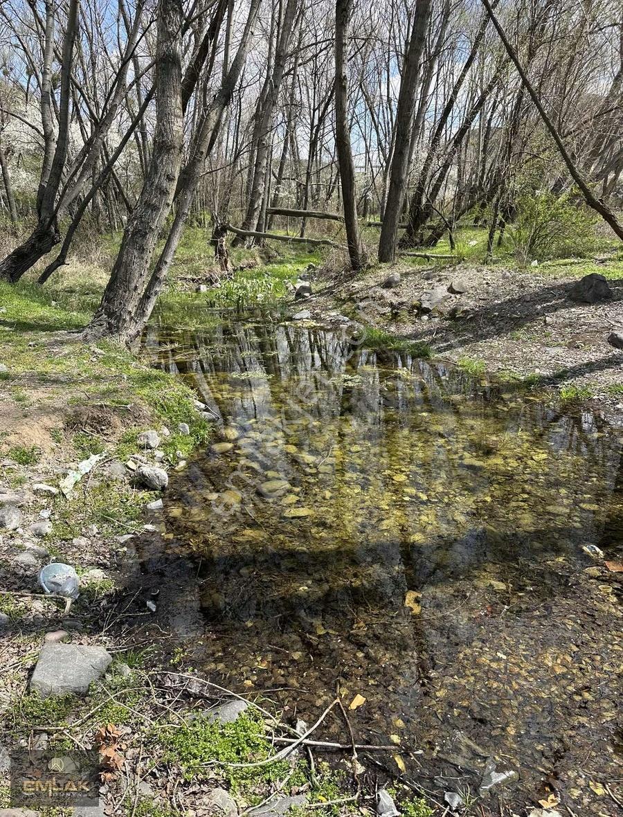 Çanıllı Barajı Altında Tek Tapu 521 M2 Sulu Tarla - Görsel 9