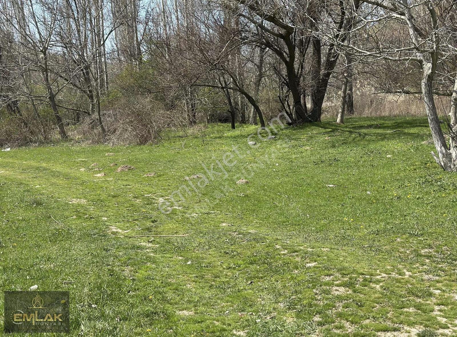 Çanıllı Barajı Altında Tek Tapu 521 M2 Sulu Tarla - Görsel 17
