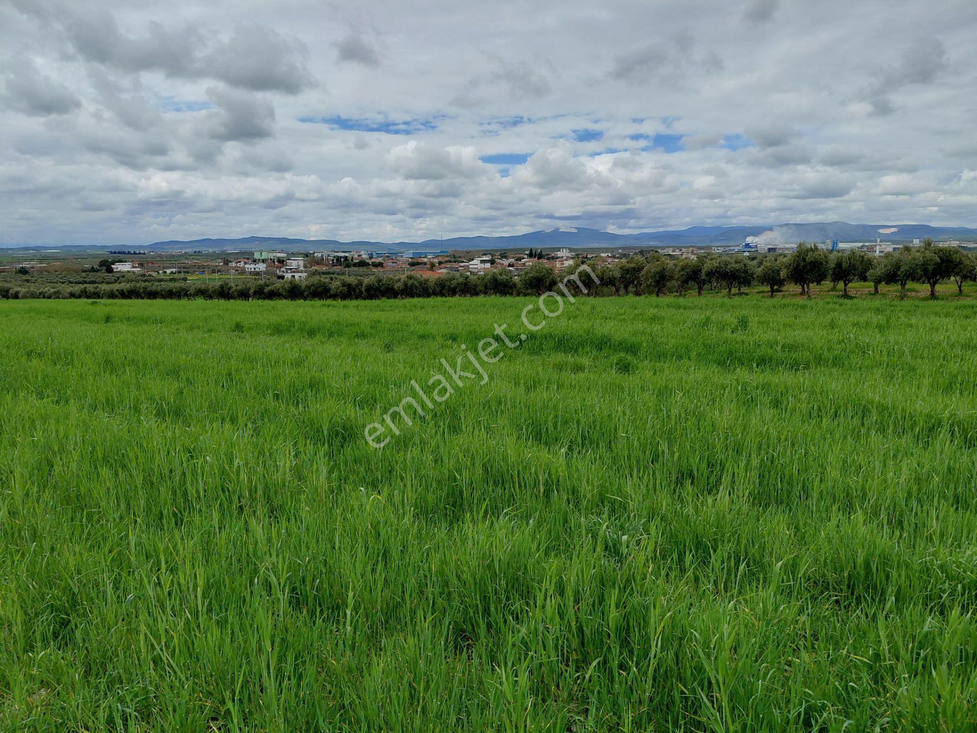 Kayalıoğlun Da Satılık Yatırımlık İmara Yakın 2.700 M2 Arazi 6.700.000 Tl - Görsel 4