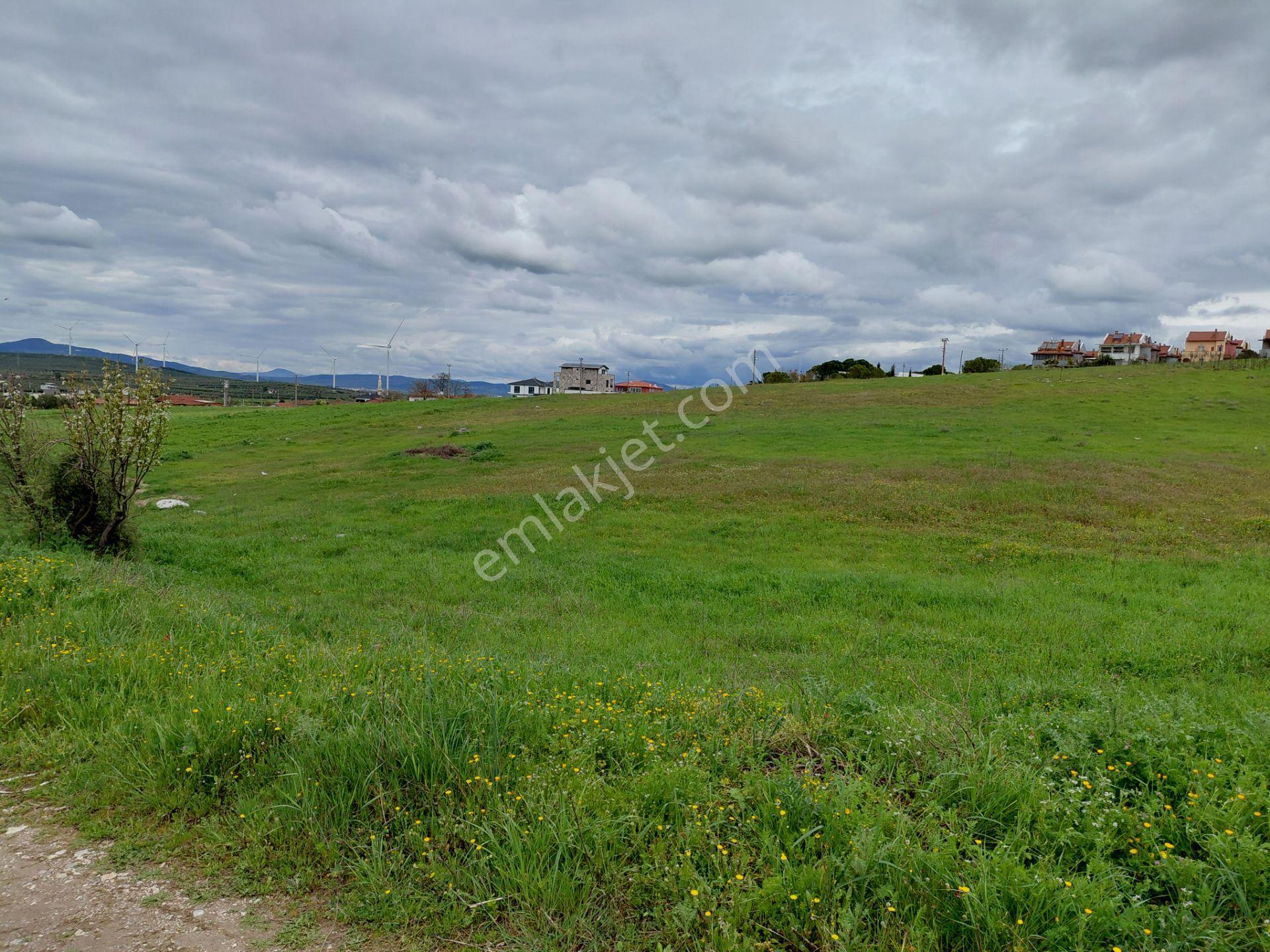 Kayalıoğlun Da Satılık Yatırımlık İmara Yakın 2.700 M2 Arazi 6.700.000 Tl - Görsel 8