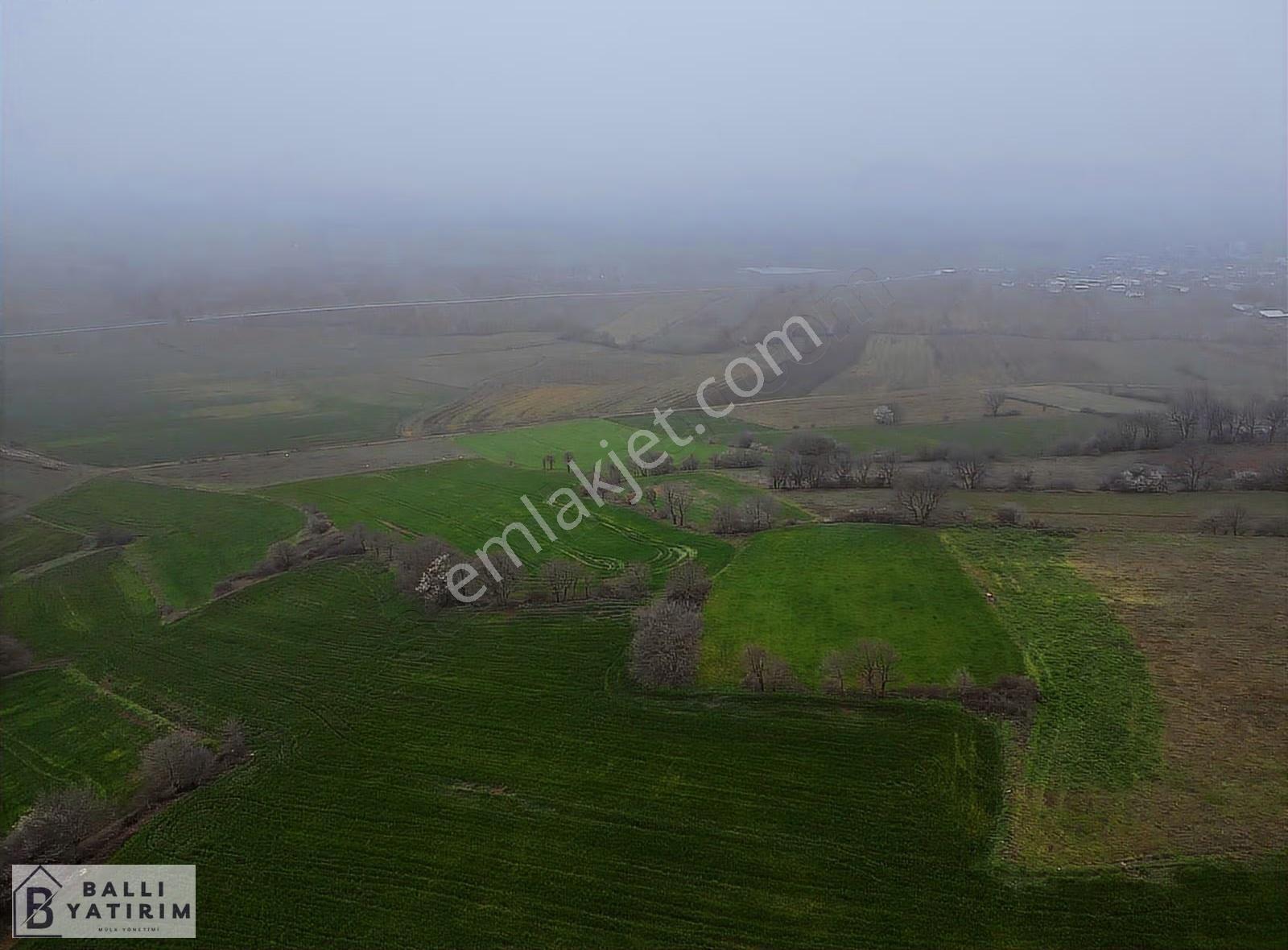 Ballı Yatırım'dan Reşadiye Köyünde Yatırımlık Manzaralı Tarla - Görsel 2