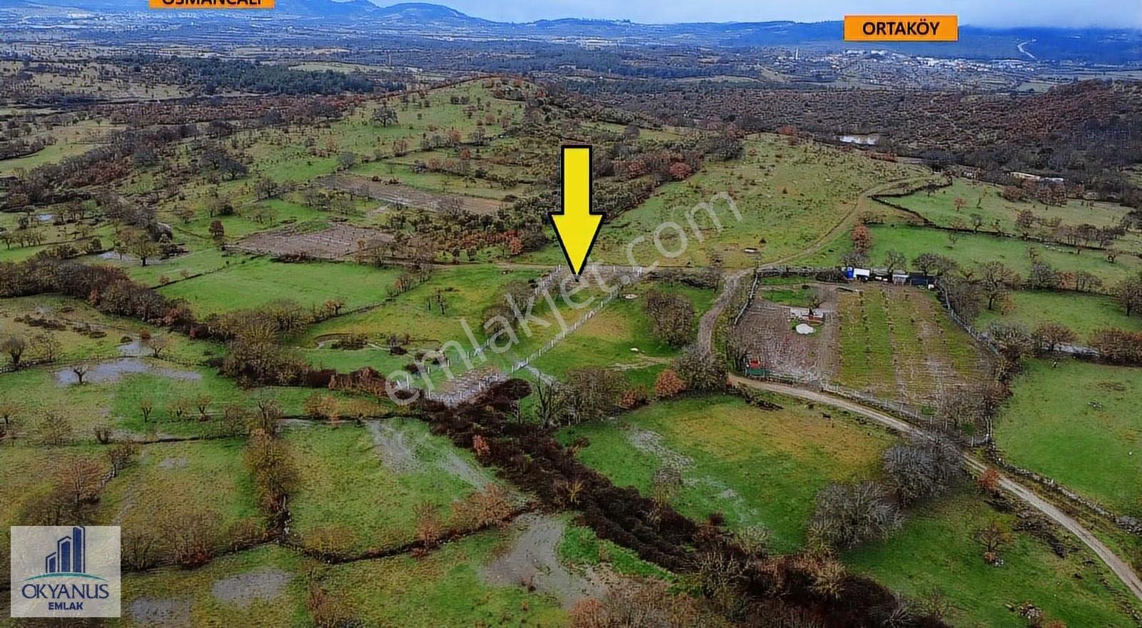 Dazyurt Da 1.700 M2 Tarla, K.yoluna 25 Mt Cepheli, Telle Çevrili - Görsel 22