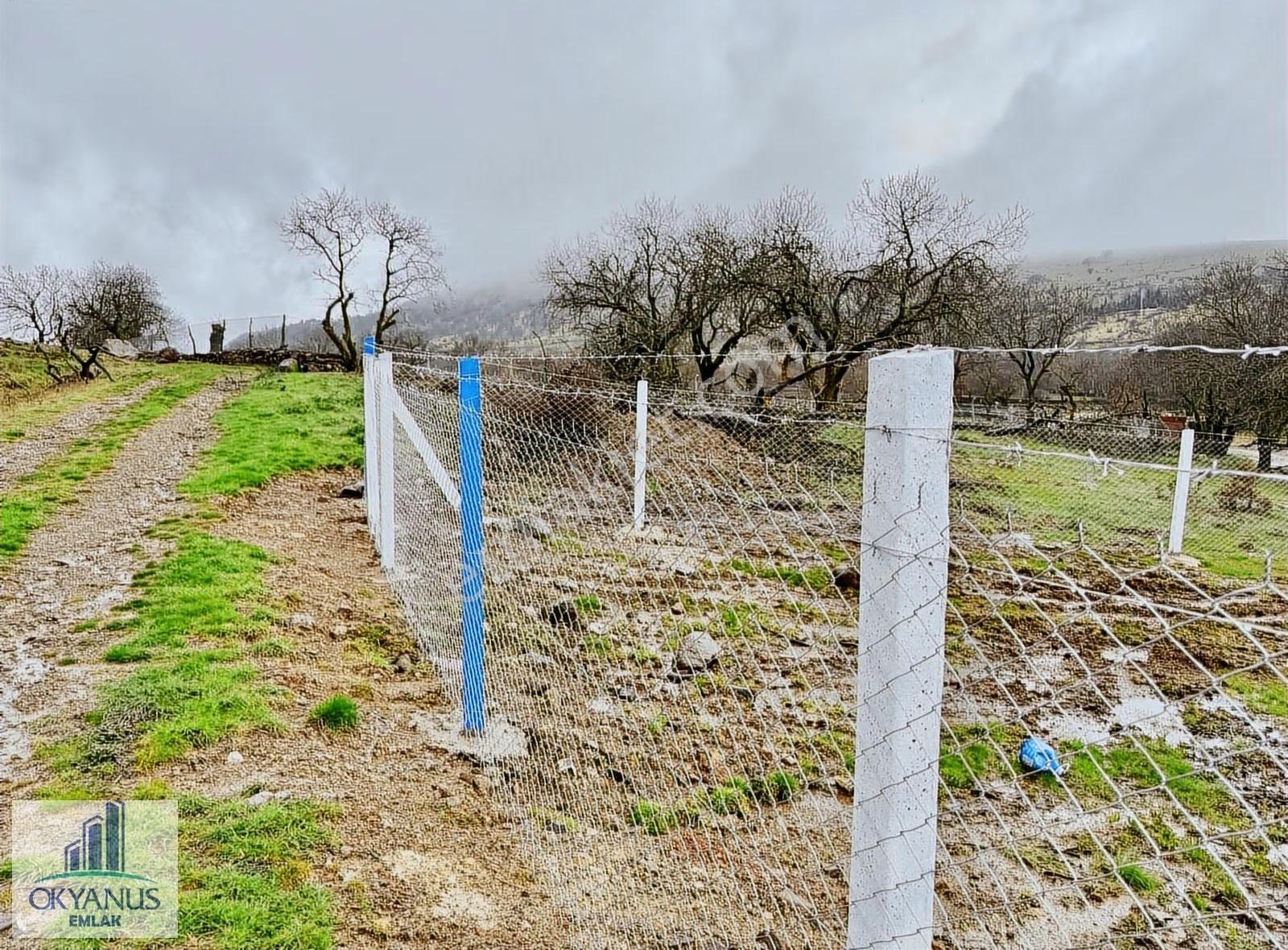 Dazyurt Da 1.700 M2 Tarla, K.yoluna 25 Mt Cepheli, Telle Çevrili - Görsel 18