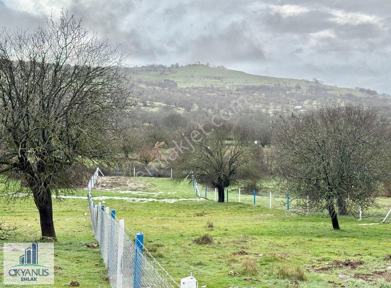 Dazyurt Da 1.700 M2 Tarla, K.yoluna 25 Mt Cepheli, Telle Çevrili - Görsel 4