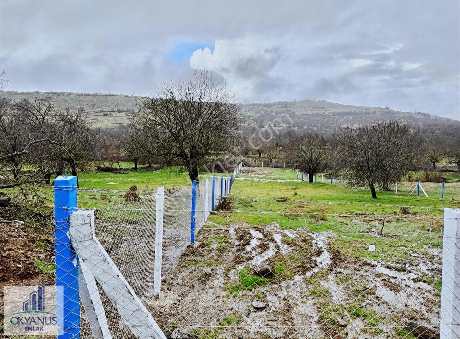 Dazyurt Da 1.700 M2 Tarla, K.yoluna 25 Mt Cepheli, Telle Çevrili - Görsel 11