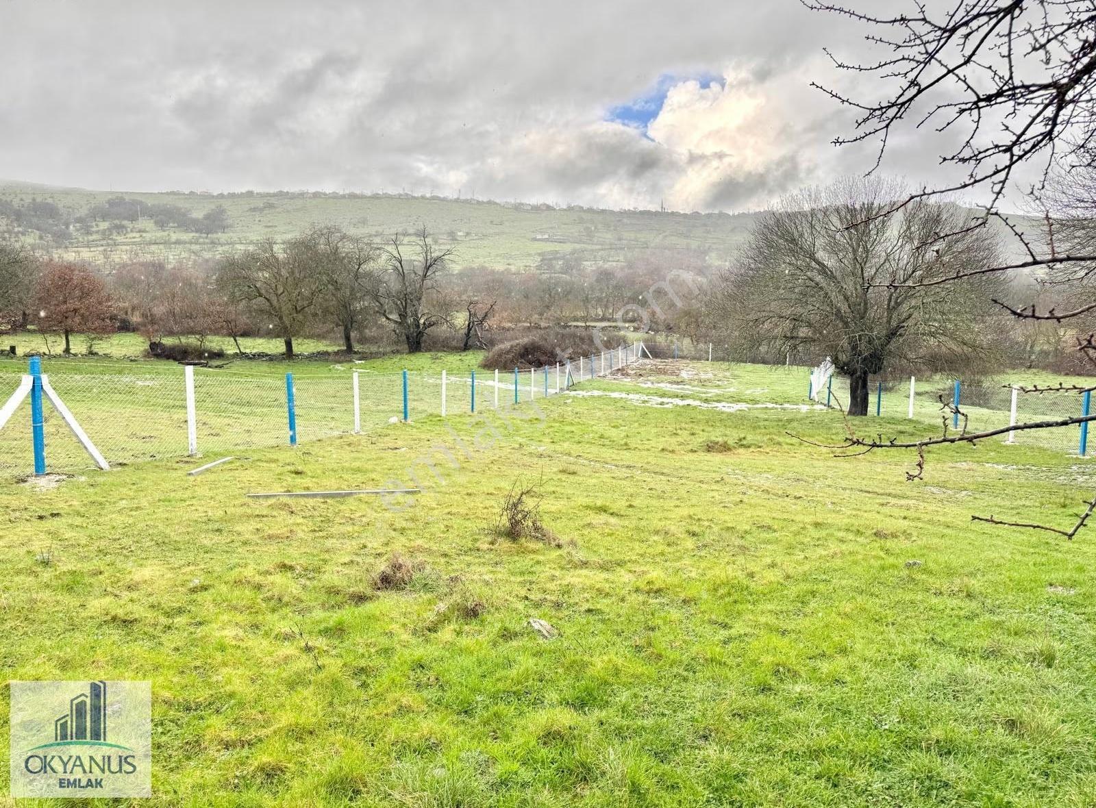 Dazyurt Da 1.700 M2 Tarla, K.yoluna 25 Mt Cepheli, Telle Çevrili - Görsel 8