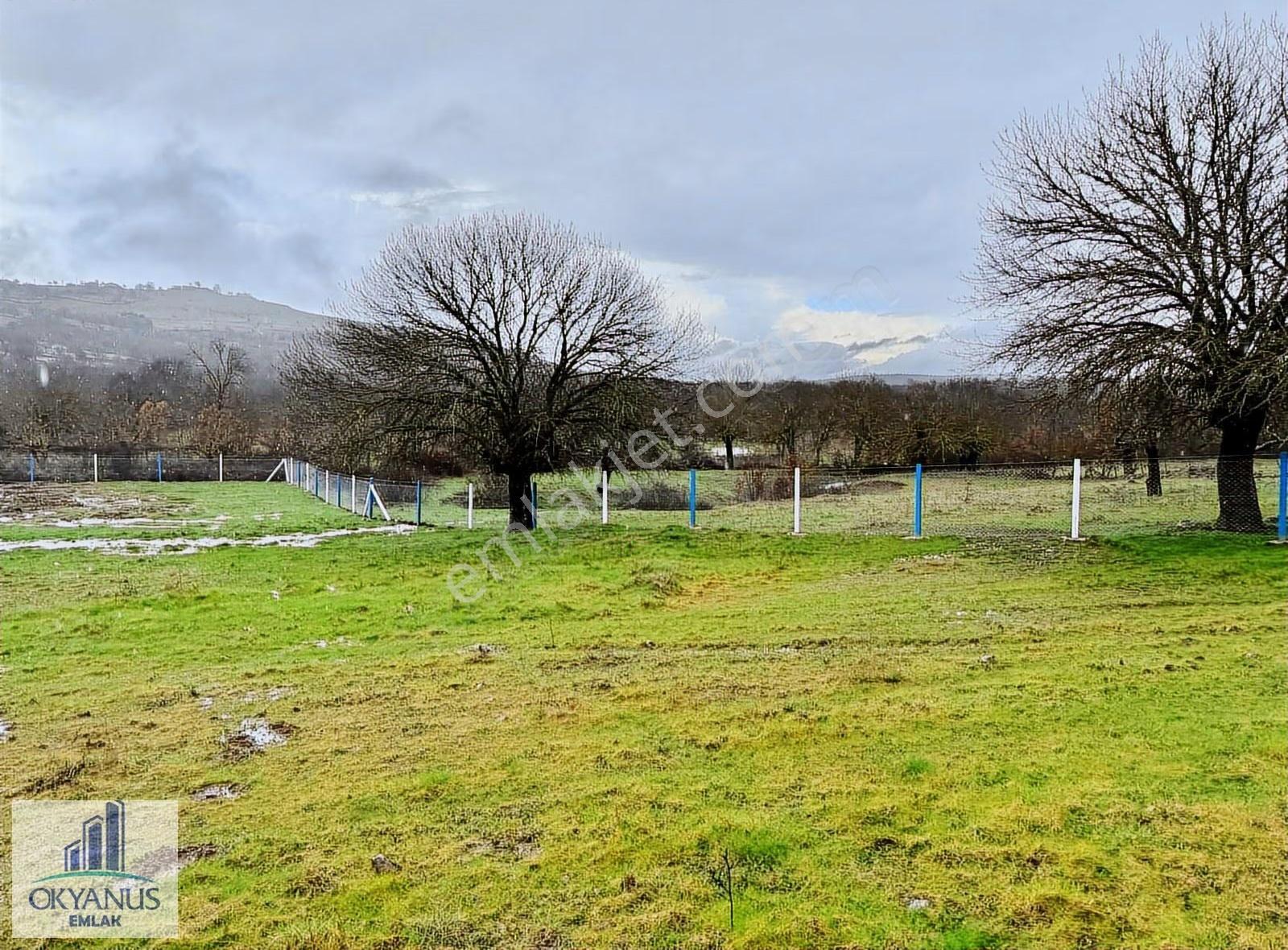 Dazyurt Da 1.700 M2 Tarla, K.yoluna 25 Mt Cepheli, Telle Çevrili - Görsel 16