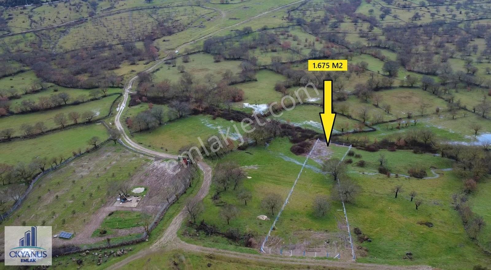 Dazyurt Da 1.700 M2 Tarla, K.yoluna 25 Mt Cepheli, Telle Çevrili - Görsel 20