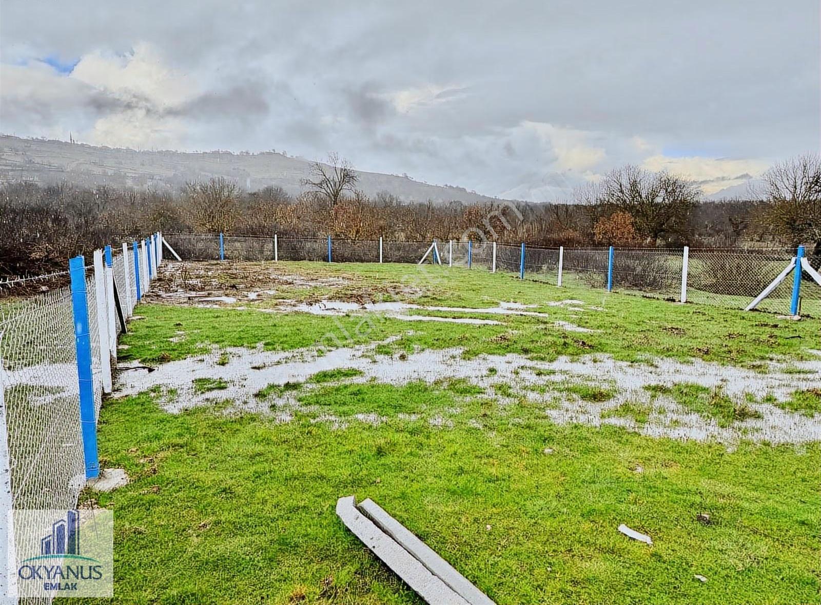 Dazyurt Da 1.700 M2 Tarla, K.yoluna 25 Mt Cepheli, Telle Çevrili - Görsel 34