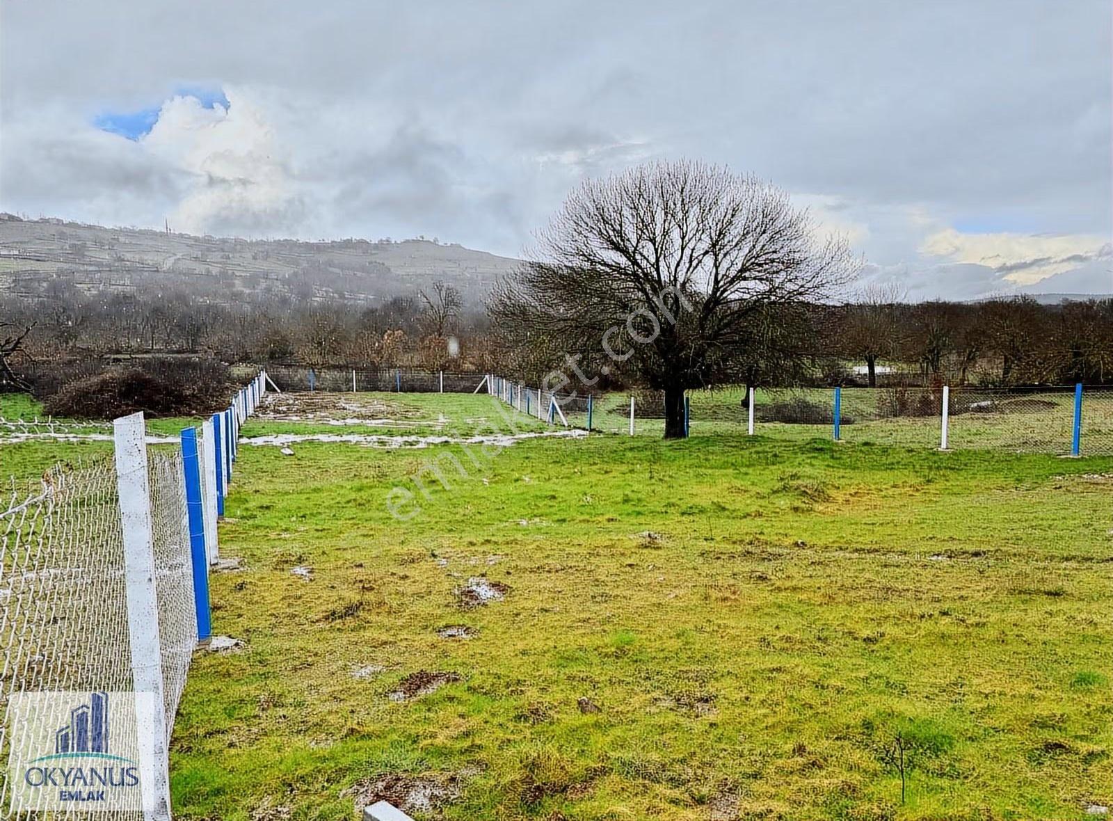 Dazyurt Da 1.700 M2 Tarla, K.yoluna 25 Mt Cepheli, Telle Çevrili - Görsel 26