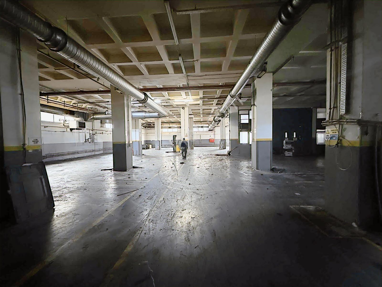 Kiralık Pelitli Yere Basar 5000 M2 İş Yeri